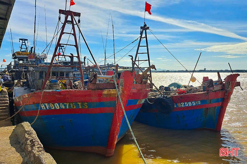 Sản lượng hải sản đạt thấp, nhiều tàu cá ở Xuân Hội nằm bờ. bqbht_br_8.jpg