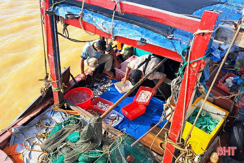 Theo các ngư dân, nhiều chuyến biển sản lượng thu về không đủ chi phí tiền dầu. bqbht_br_7.jpg