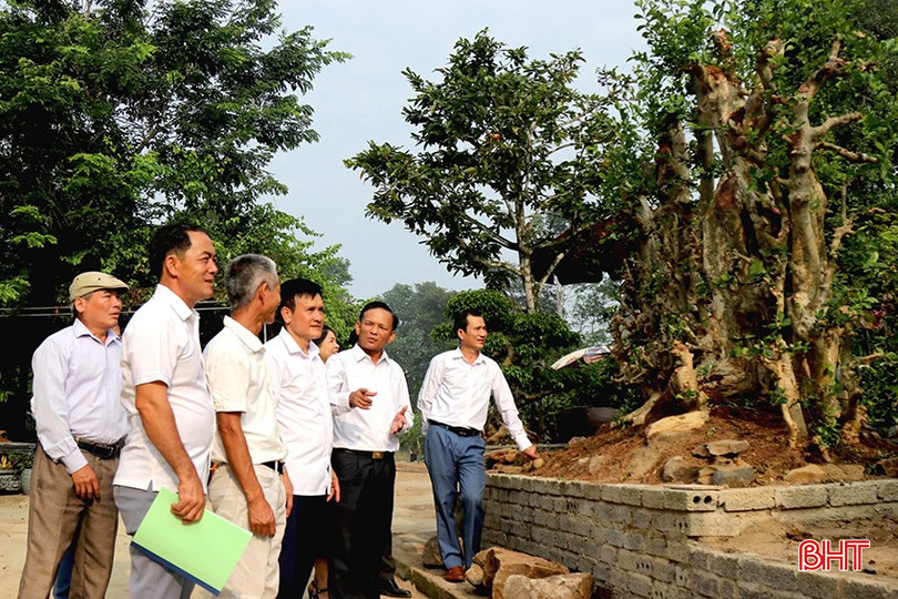 Lãnh đạo xã Xuân Thành kiểm tra mô hình trồng cây cảnh trên địa bàn. bqbht_br_1-8151.jpg