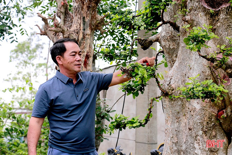 Ông Thành tỉ mẩn cắt tỉa chăm sóc cây cảnh. bqbht_br_9.jpg