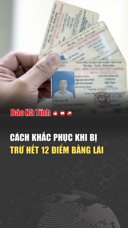 Cách khắc phục khi bằng lái bị trừ hết 12 điểm