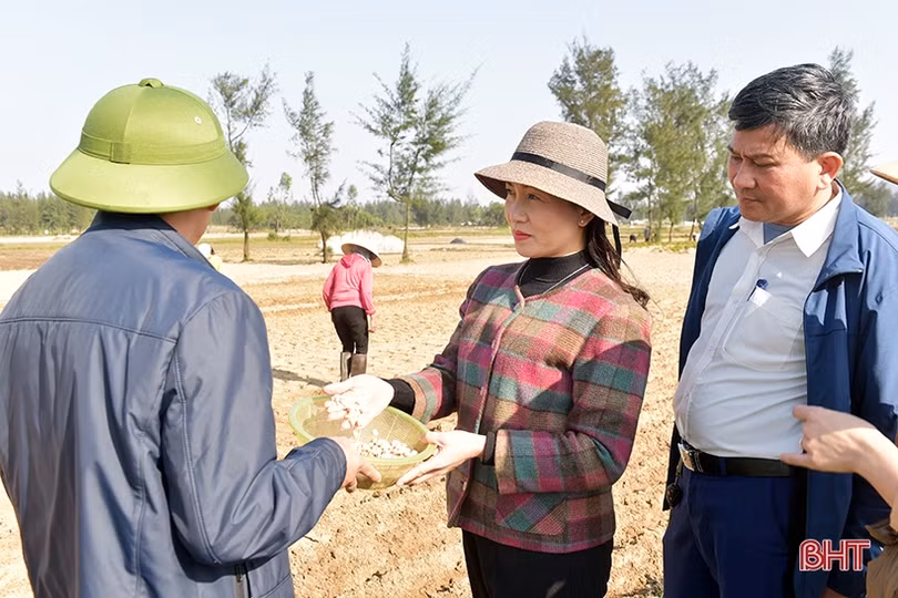 Nông dân Hà Tĩnh nô nức xuống đồng sản xuất đầu xuân