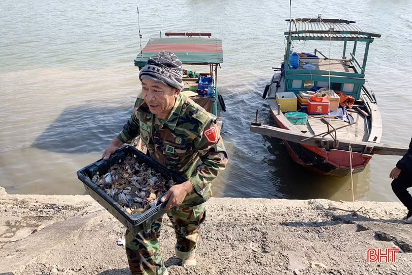 Ngư dân Hà Tĩnh thắng lớn những chuyến biển đầu năm