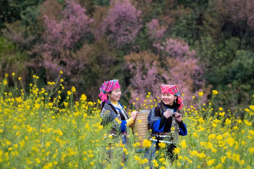 Mùa hoa ở Mù Cang Chải