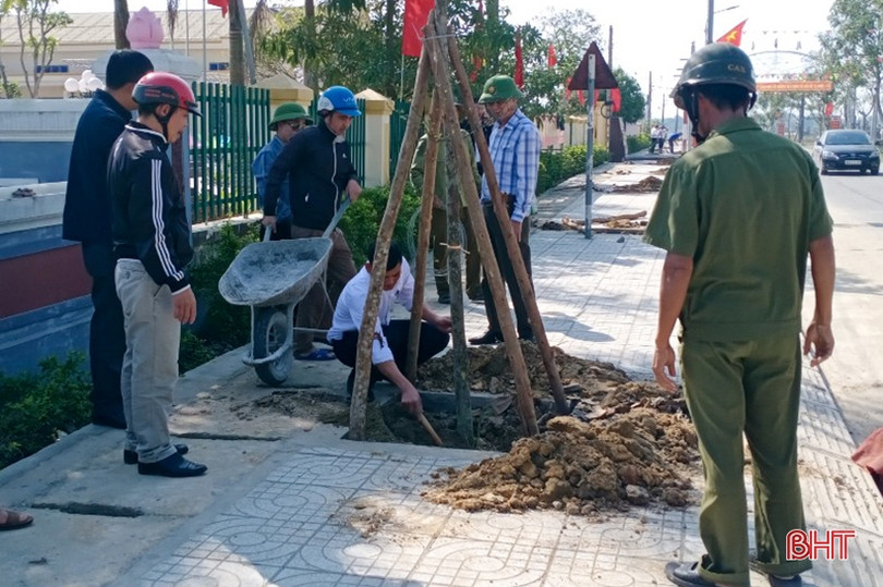 Can Lộc trồng mới hơn 84.200 cây xanh