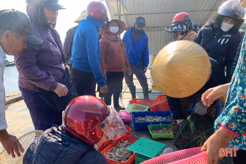 Ngư dân Hà Tĩnh thắng lớn những chuyến biển đầu năm