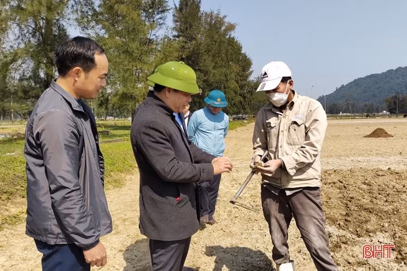 Nông dân Lộc Hà gấp rút gieo trỉa 966 ha lạc xuân