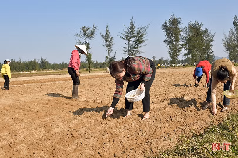 Nông dân Hà Tĩnh nô nức xuống đồng sản xuất đầu xuân