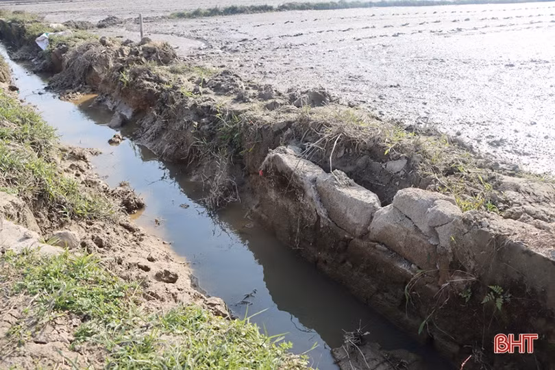 Kênh cấp nước sản xuất nông nghiệp ở 3 xã phía Bắc Cẩm Xuyên xuống cấp