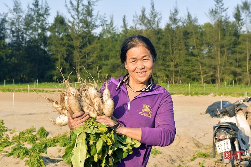 Nông dân Hà Tĩnh nô nức xuống đồng sản xuất đầu xuân