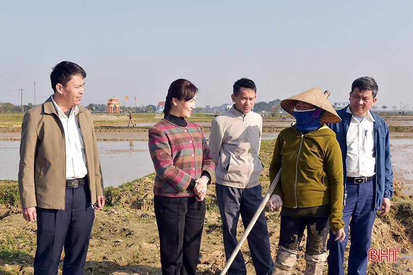 Nông dân Hà Tĩnh nô nức xuống đồng sản xuất đầu xuân