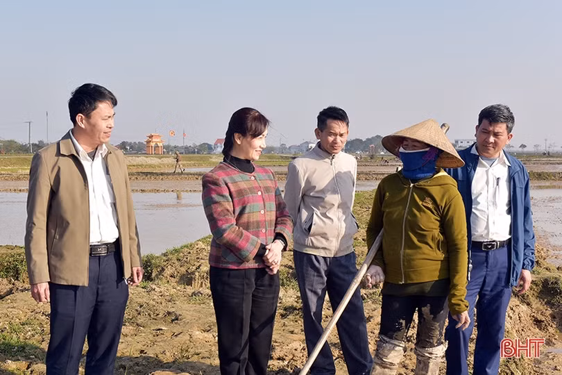 Nông dân Hà Tĩnh nô nức xuống đồng sản xuất đầu xuân