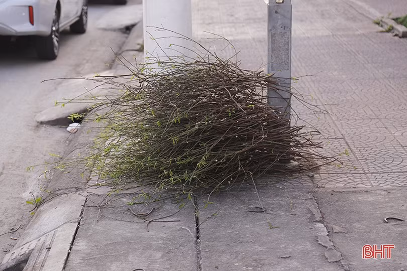 Nỗ lực thu gom, xử lý rác thải sau tết ở Hà Tĩnh