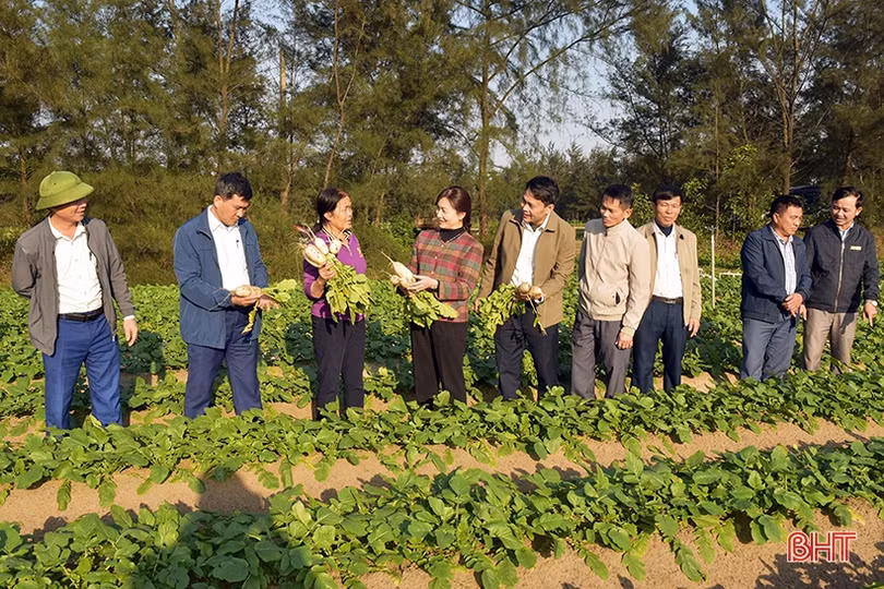 Nông dân Hà Tĩnh nô nức xuống đồng sản xuất đầu xuân