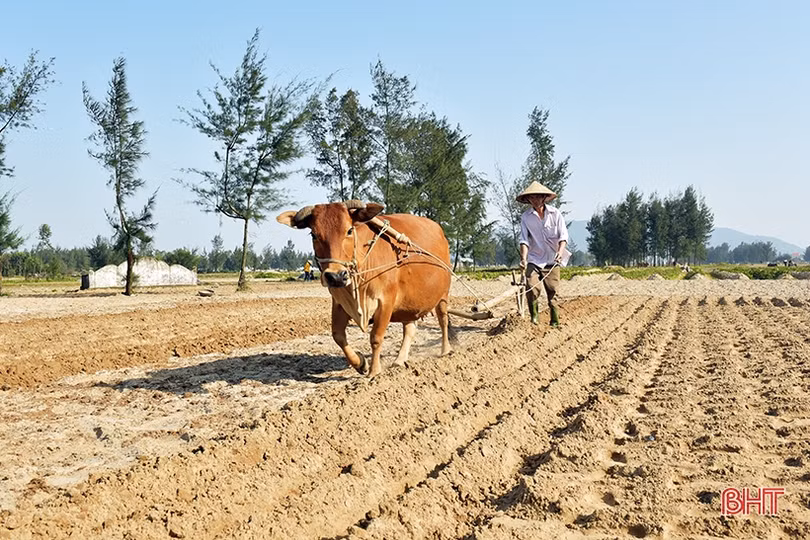 Nông dân Hà Tĩnh nô nức xuống đồng sản xuất đầu xuân