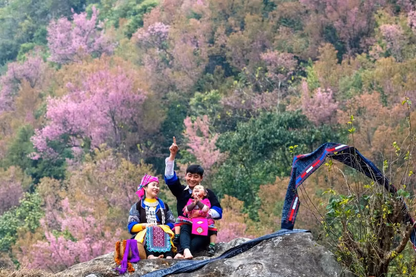 Mùa hoa ở Mù Cang Chải