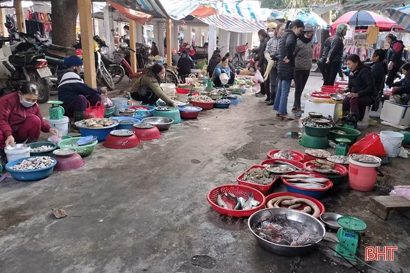 Khan hiếm nguồn cung, tôm tươi “sốt” giá trên thị trường Hà Tĩnh