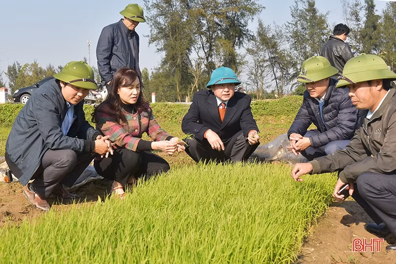 Nông dân Hà Tĩnh nô nức xuống đồng sản xuất đầu xuân