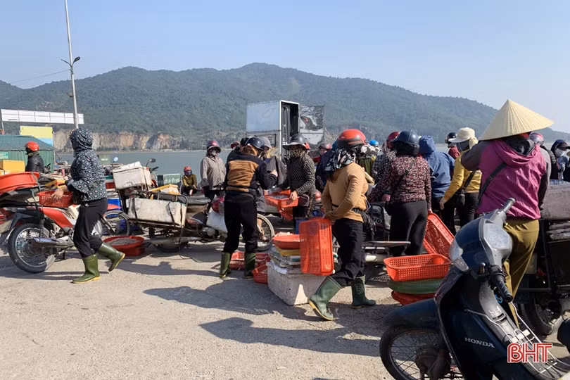 Ngư dân Hà Tĩnh thắng lớn những chuyến biển đầu năm