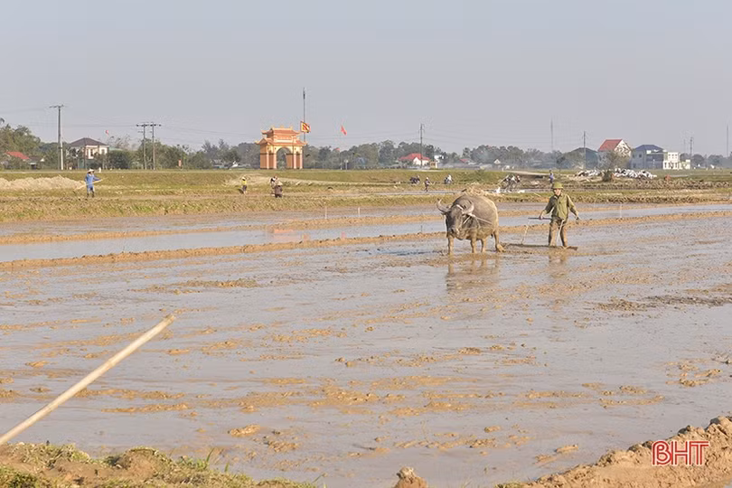 Nông dân Hà Tĩnh nô nức xuống đồng sản xuất đầu xuân