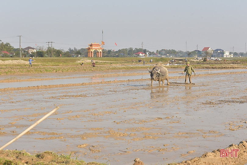 Nông dân Hà Tĩnh nô nức xuống đồng sản xuất đầu xuân