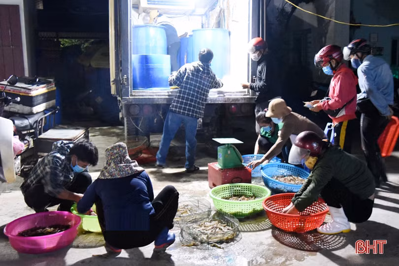 Khan hiếm nguồn cung, tôm tươi “sốt” giá trên thị trường Hà Tĩnh