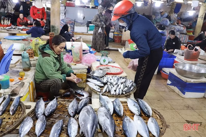 Hải sản ở Hà Tĩnh sau tết: Hàng đa dạng, giá vẫn cao ngất ngưởng!