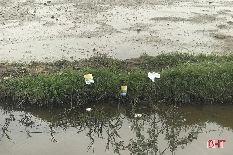 Lại “tiện đâu vứt đấy” vỏ bao thuốc BVTV trên nhiều cánh đồng ở Hà Tĩnh