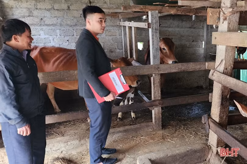 Các ngân hàng ở Hà Tĩnh “bơm vốn” phục vụ sản xuất, kinh doanh đầu năm mới