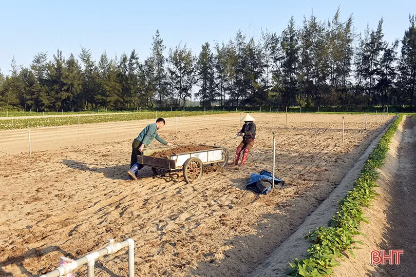 Nông dân Hà Tĩnh nô nức xuống đồng sản xuất đầu xuân