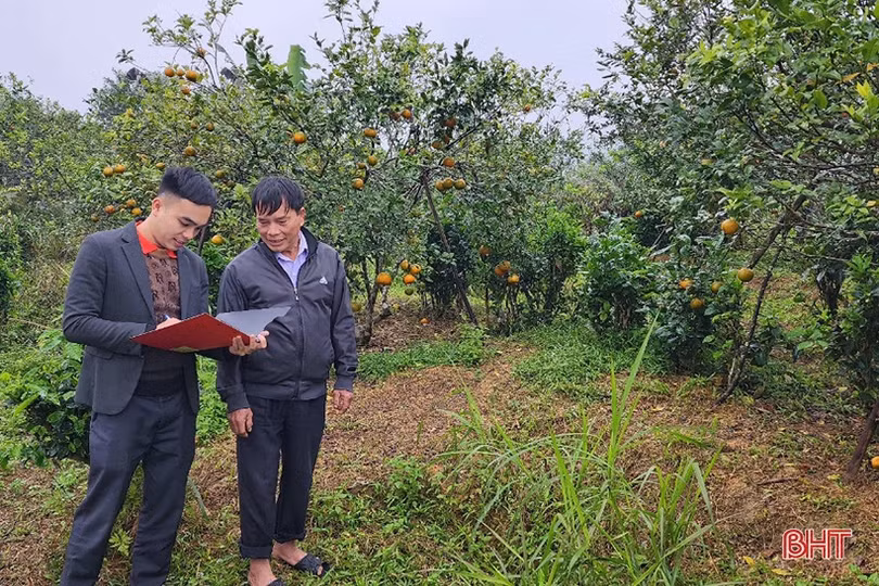 Các ngân hàng ở Hà Tĩnh “bơm vốn” phục vụ sản xuất, kinh doanh đầu năm mới