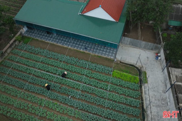 Miền quê xanh bình yên...