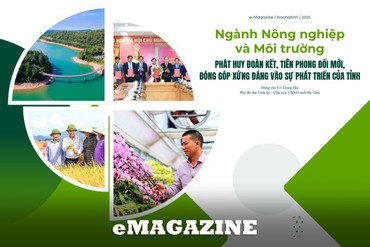 Ngành Nông nghiệp và Môi trường phát huy đoàn kết, tiên phong đổi mới, đóng góp xứng đáng vào sự phát triển của Hà Tĩnh