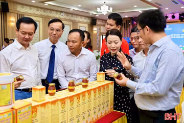 Kết nối, đưa sản phẩm Hà Tĩnh vào các siêu thị của Central Retail Việt Nam