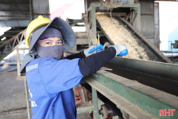 Căng thẳng thương mại Mỹ - Trung: Xuất khẩu dăm gỗ Hà Tĩnh gặp khó!