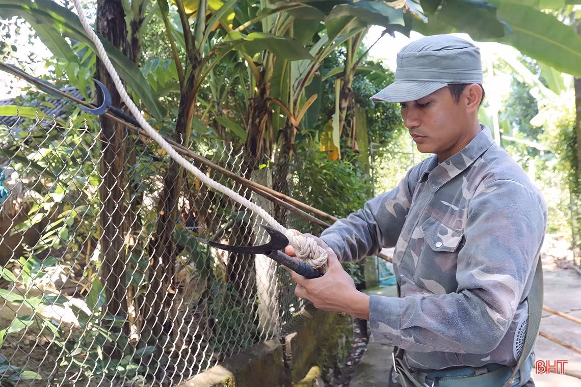 Mùa trám đen ở huyện miền núi Hà Tĩnh