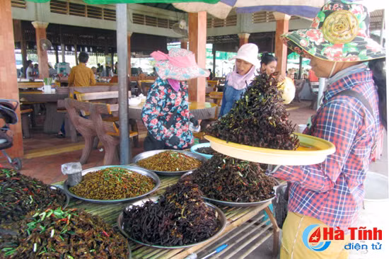 campuchia ky vi va bi an