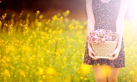 Ảnh mang tính minh họa: Internet dan ba thong minh nhu mot con bao