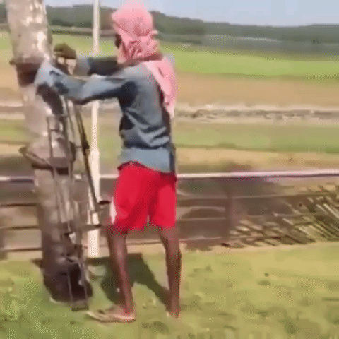 clip hai treo dua de nhu an keo