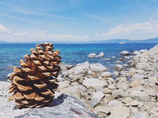 22 buc anh tuyet dep khien ban them yeu trai dat