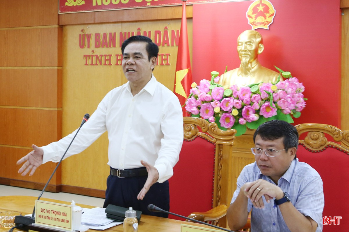Chủ tịch UBND tỉnh Võ Trọng Hải phát biểu mở đầu cuộc họp. bqbht_br_3-14.jpg