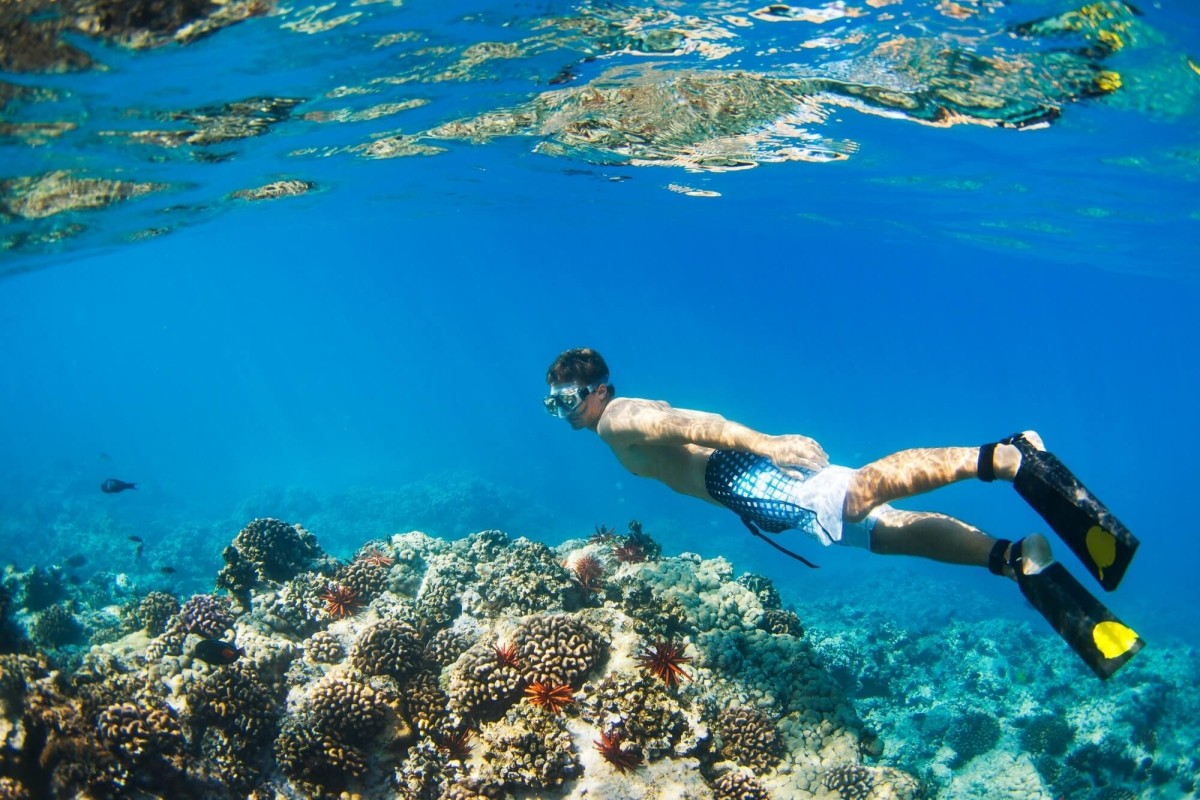 Ảnh: Ospreyexpeditions Ảnh: Ospreyexpeditions