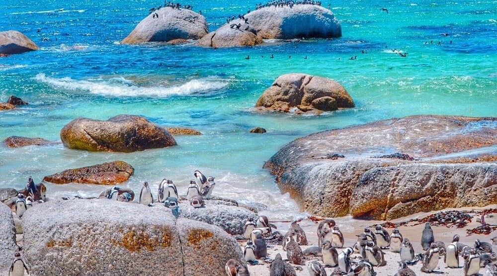Ảnh: Tripadvisor Ảnh: Tripadvisor