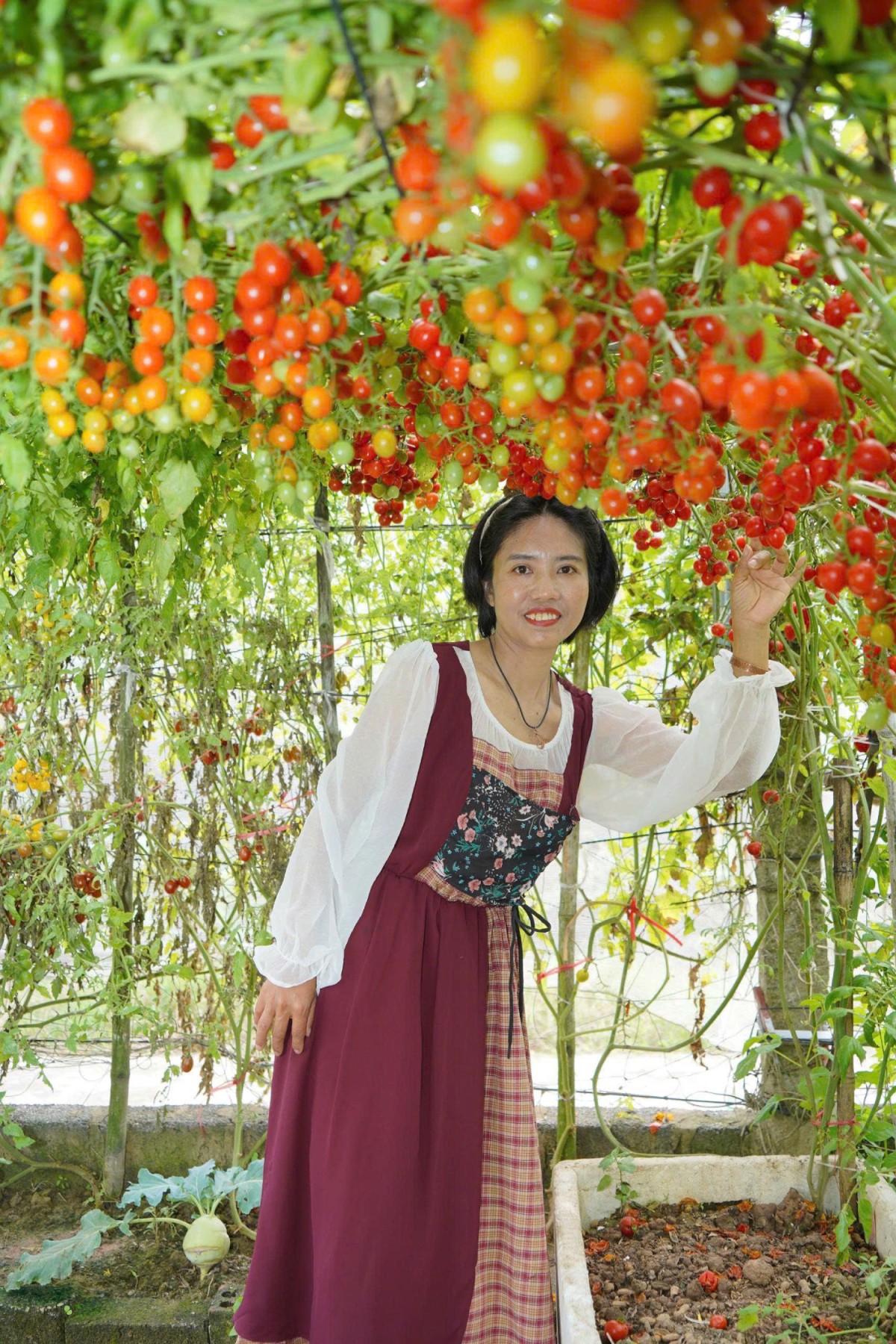 Chị Xuân tạo dáng bên giàn cà chua trái cây.