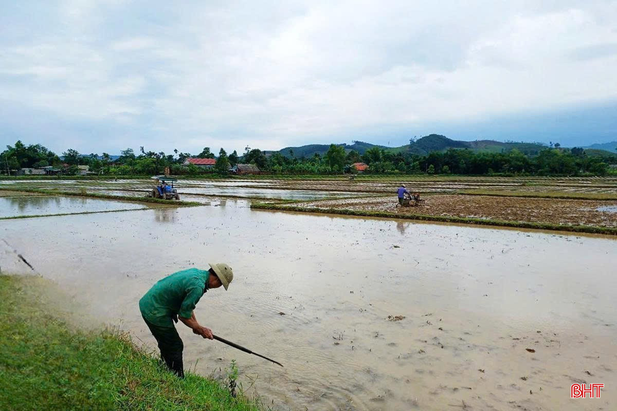 Xã biên giới Hòa Hải (Hương Khê) thường xuyên gặp mưa lũ nên người dân kỳ vọng chính quyền mới sẽ triển khai hiệu quả chính sách bảo hiểm nông nghiệp. bqbht_br_z6696522538945-52d515d9062c3aac654b10085f06620b.jpg