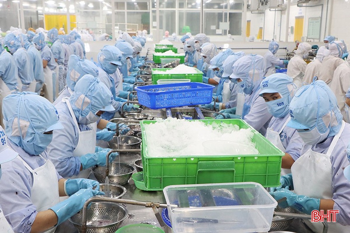 Các doanh nghiệp tăng tốc sản xuất, kinh doanh, đáp ứng kịp thời các đơn hàng của đối tác. Trong ảnh: Không khí sản xuất tại Công ty CP Xuất nhập khẩu Thủy sản Nam Hà Tĩnh. image-5.jpg