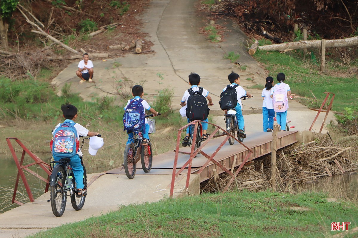 image-1.jpg