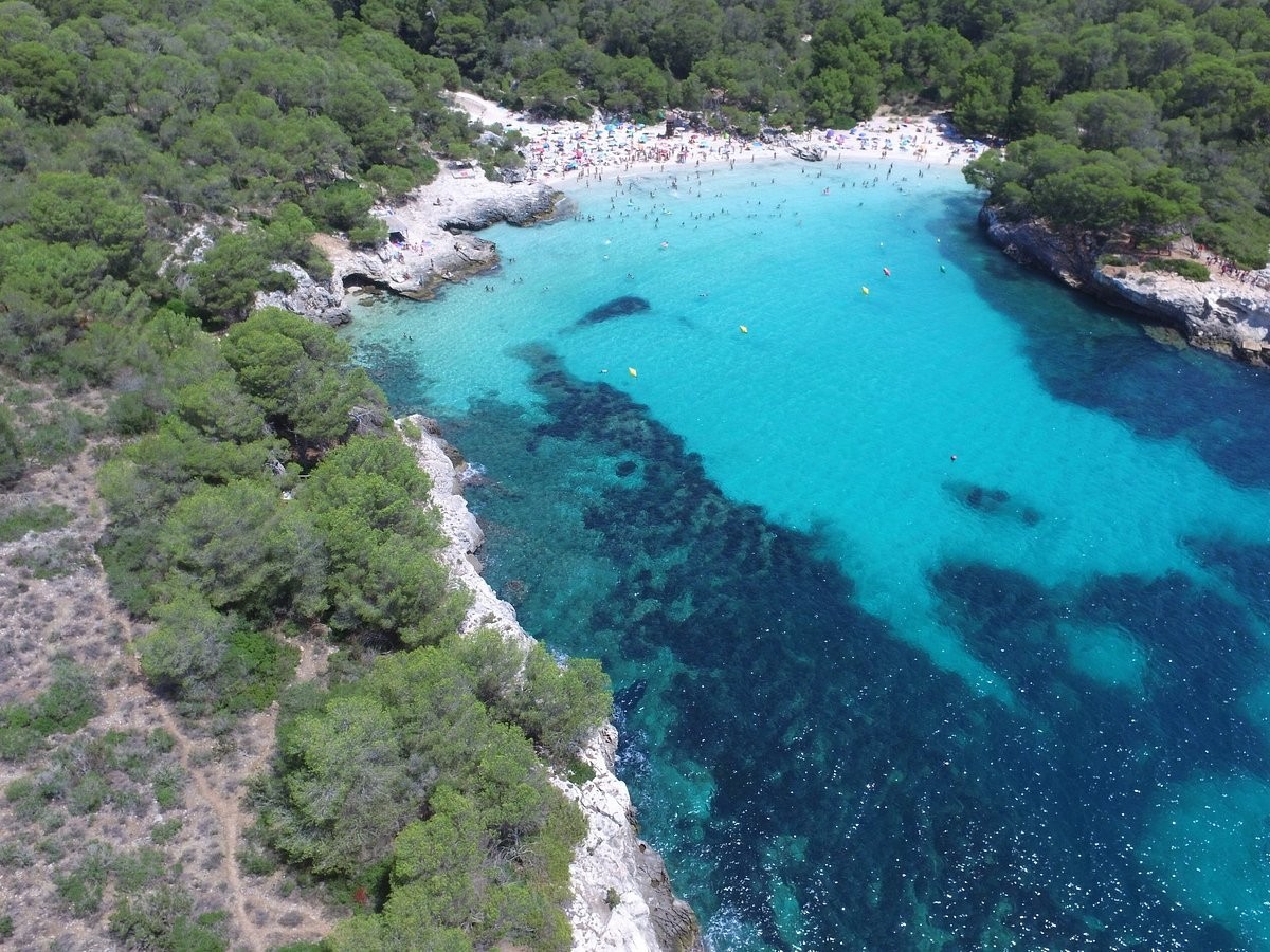 Ảnh: Tripadvisor Ảnh: Tripadvisor