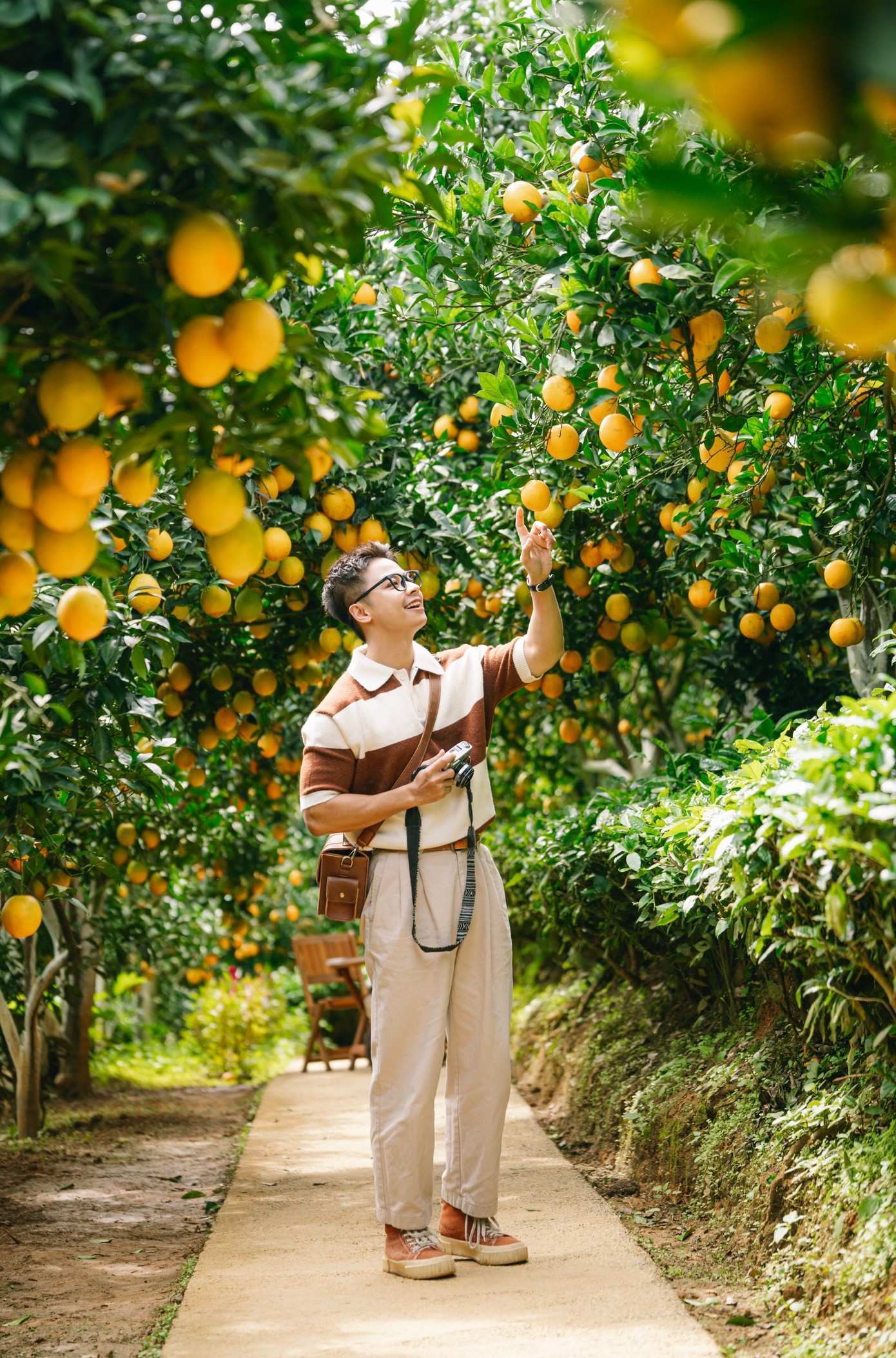 Anh Vũ Quang Kiên - người dân Mộc Châu - chia sẻ, từ năm 2022, nhận thấy tiềm năng của du lịch trải nghiệm, người dân đã chủ động mở cửa vườn để đón khách với mức phí hợp lý. Việc phát triển nông nghiệp với du lịch nhanh chóng mang lại hiệu quả rõ rệt. Các vườn cam được nhiều người biết đến hơn, sản lượng tiêu thụ tăng mạnh và giá bán ổn định.