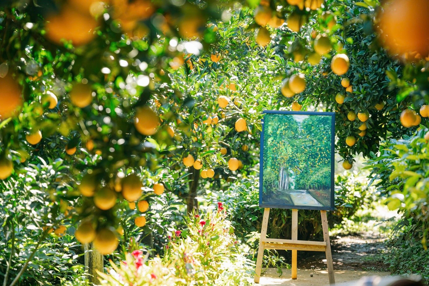 Không chỉ thu hút du khách, mùa cam Mộc Châu còn là thời điểm các thợ ảnh dịch vụ tấp nập tìm đến. Những góc vườn đẹp tự nhiên, kết hợp ánh nắng dịu buổi sớm tạo nên bối cảnh lý tưởng cho những bộ ảnh kỷ niệm. Vũ Quang Kiên chia sẻ thời điểm đẹp nhất để chụp hình là vào buổi sáng. Trang phục tông sáng, nhẹ nhàng sẽ nổi bật giữa nền cam vàng; thêm một vài phụ kiện như giỏ đựng cam... đủ để có những tấm hình đậm chất thơ.